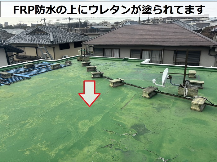 三田市で陸屋根からの雨漏り調査を行う現場で陸屋根の上の様子