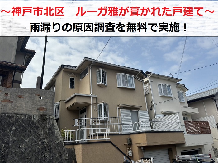 神戸市北区　「ルーガ雅」葺きの戸建てで雨漏り！原因調査を無料で実施