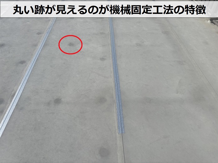 宝塚市で戸建ての屋上防水の塩ビシートをチェック