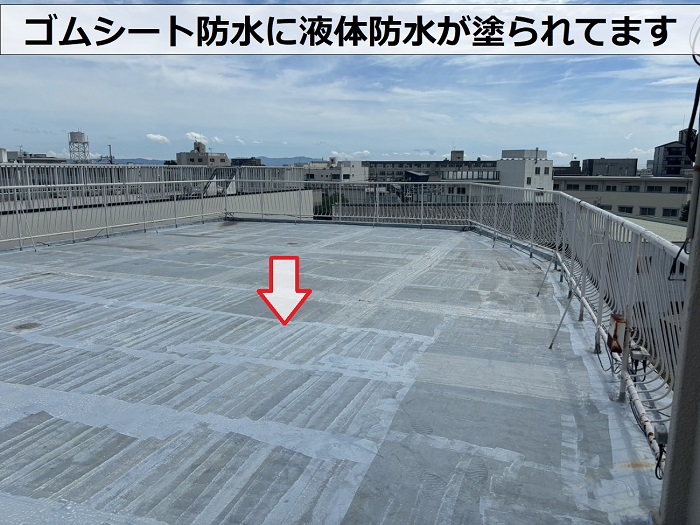 宝塚市で無料見積もりを行う陸屋根の様子