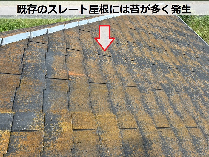 揖保郡太子町で大和ハウス戸建てのスレート屋根へ重ね葺き工事する前の苔の発生したスレート屋根