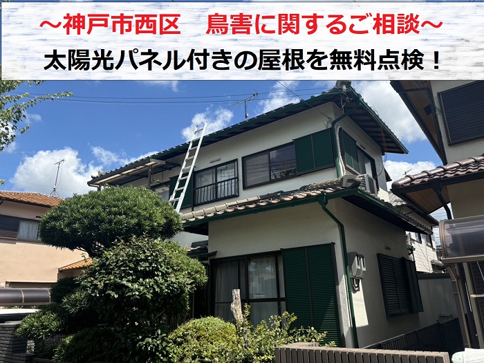 神戸市西区　鳥害対策のご相談で太陽光パネル付きの屋根を無料点検！