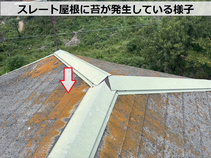 淡路市の空き家のスレート屋根に苔が発生している様子