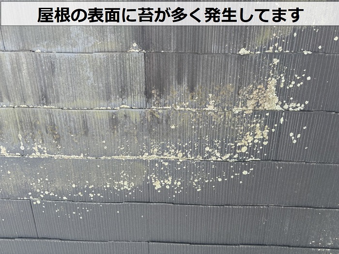 カラーベスト屋根に発生する苔