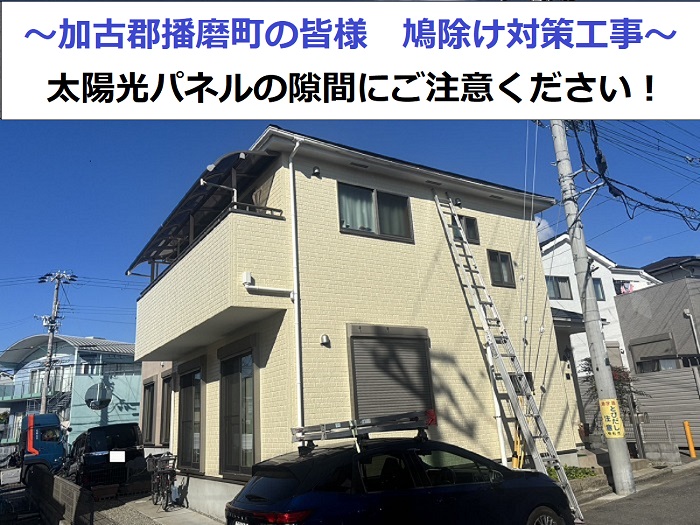 鳩除け対策を行う現場