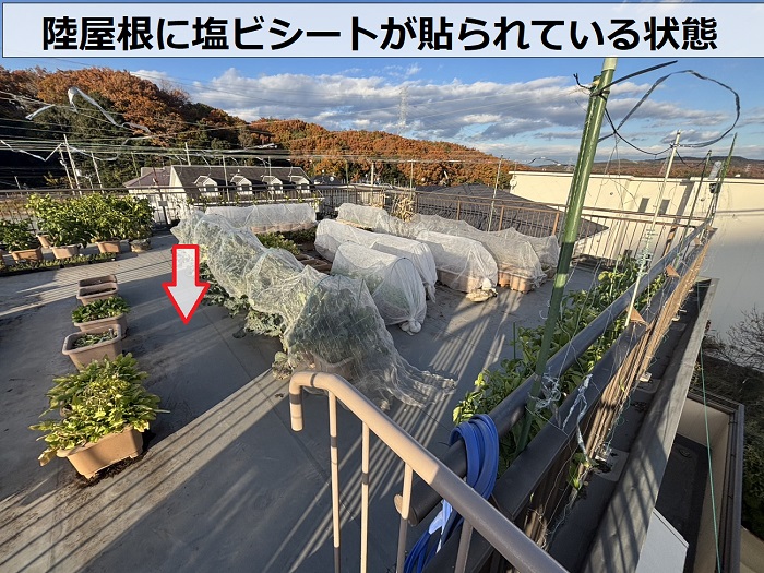 陸屋根に貼られた塩ビシート