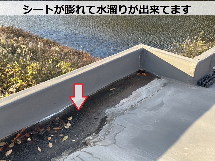 シート防水に水たまり