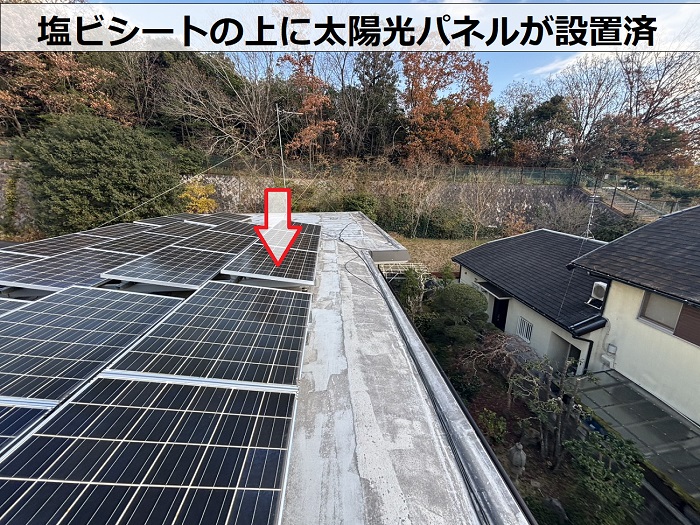塩ビシートの上に設置された太陽光パネル