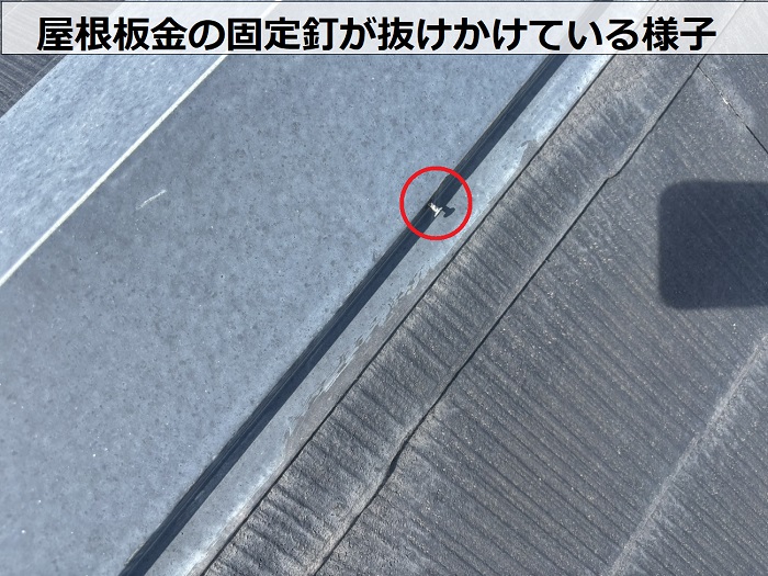 屋根板金の固定釘が抜けかけている様子