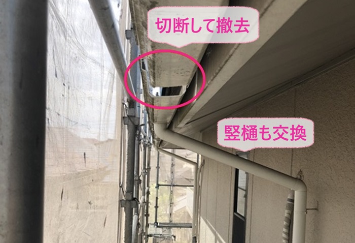 芦屋市の軒樋取り替えで既存の軒樋を切断して撤去している現場の様子