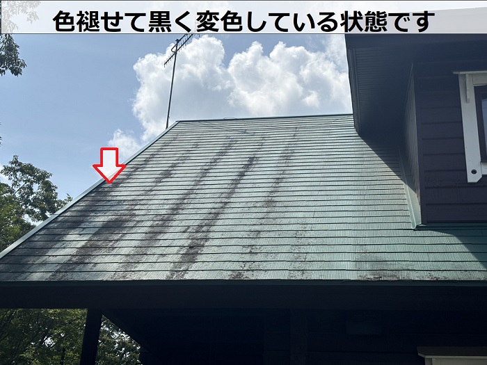 色褪せたカラーベスト