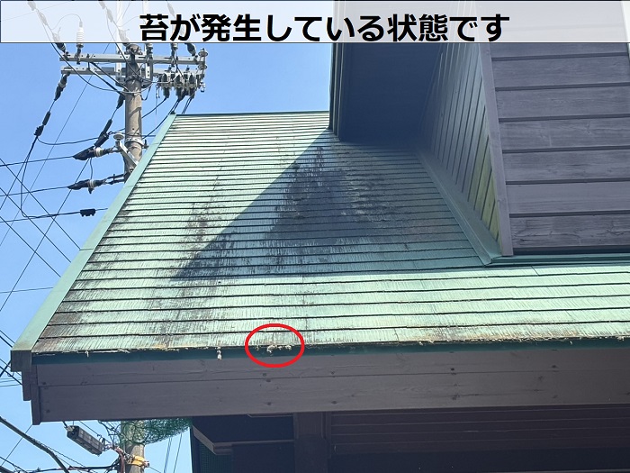 苔が発生したカラーベスト