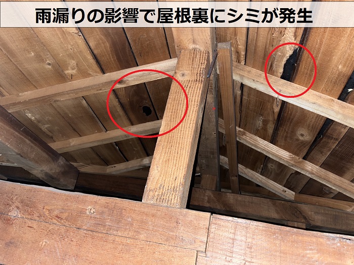 宝塚市で築40年以上の陶器瓦からの雨漏り原因調査を行う現場の屋根裏の様子