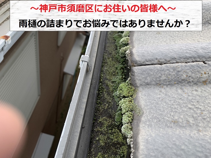 神戸市須磨区　雨樋清掃！雨樋詰まりの原因は屋根の苔？！