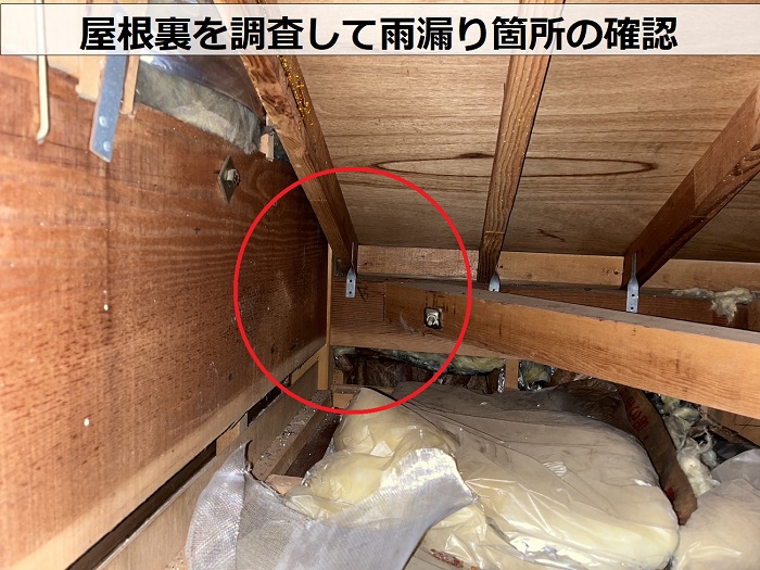 尼崎市で１階部分への雨漏り原因を専門業者が無料診断する現場で屋根裏調査