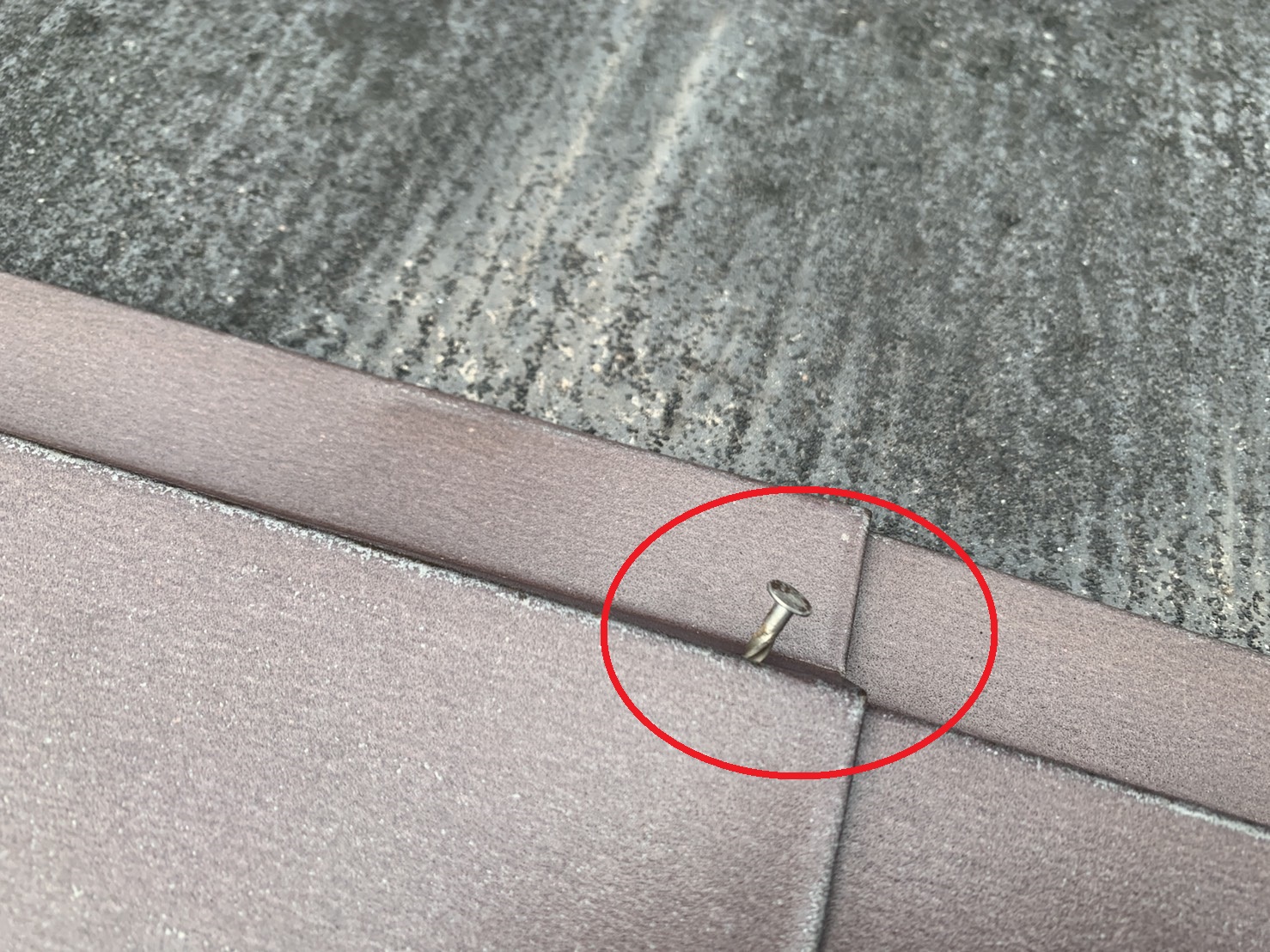 明石市での屋根調査で棟板金を固定する釘が抜けている様子