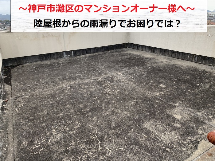 神戸市灘区でマンション陸屋根からの雨漏り調査を行う現場の様子
