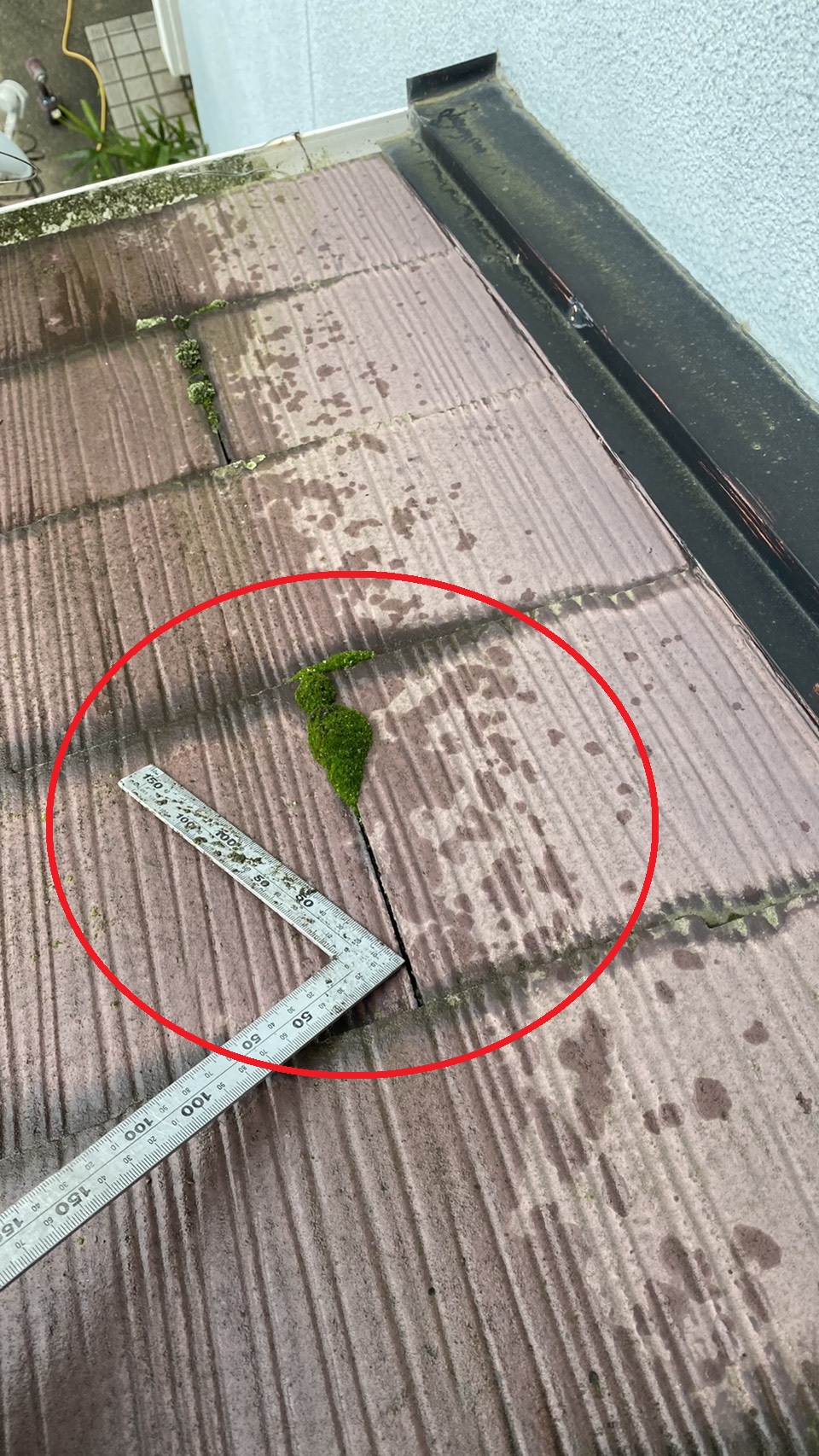 スレート屋根に発生している苔を掃除