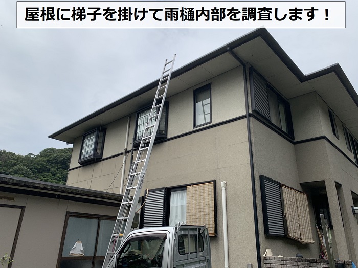 神戸市長田区で屋根に梯子を掛けて雨樋内部を調査する様子