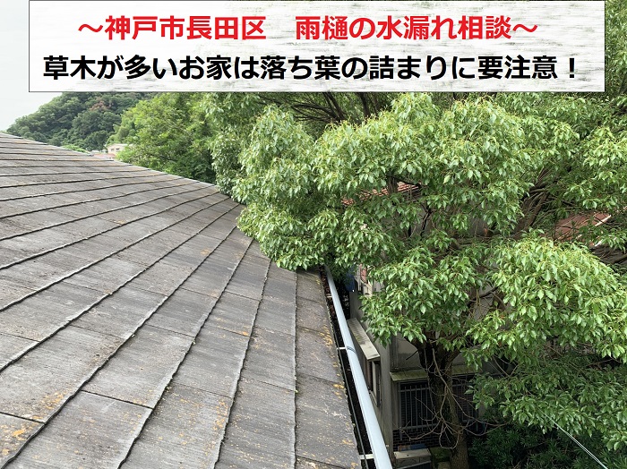 神戸市長田区で雨樋の水漏れに関するご相談を頂いた現場