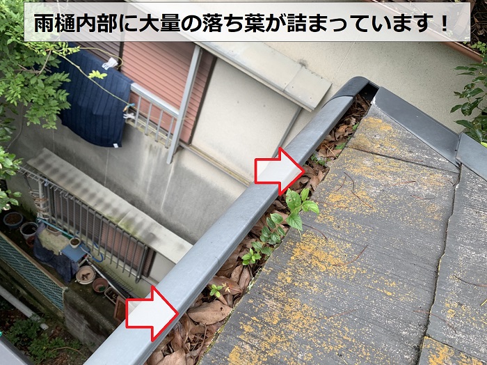 雨樋内部に大量の落ち葉が詰まっている様子