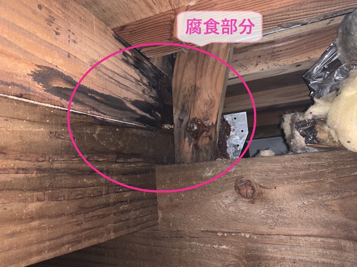 神戸市西区でウレタン防水工事を行う現場の天井裏が腐食している様子