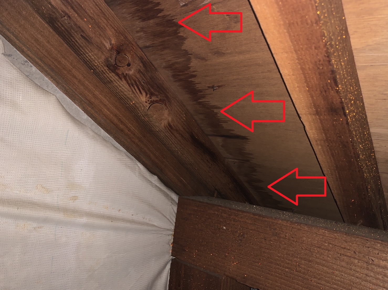 スレート屋根から雨漏りしている天井裏の様子