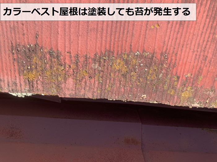 カラーベスト屋根に苔が発生している様子