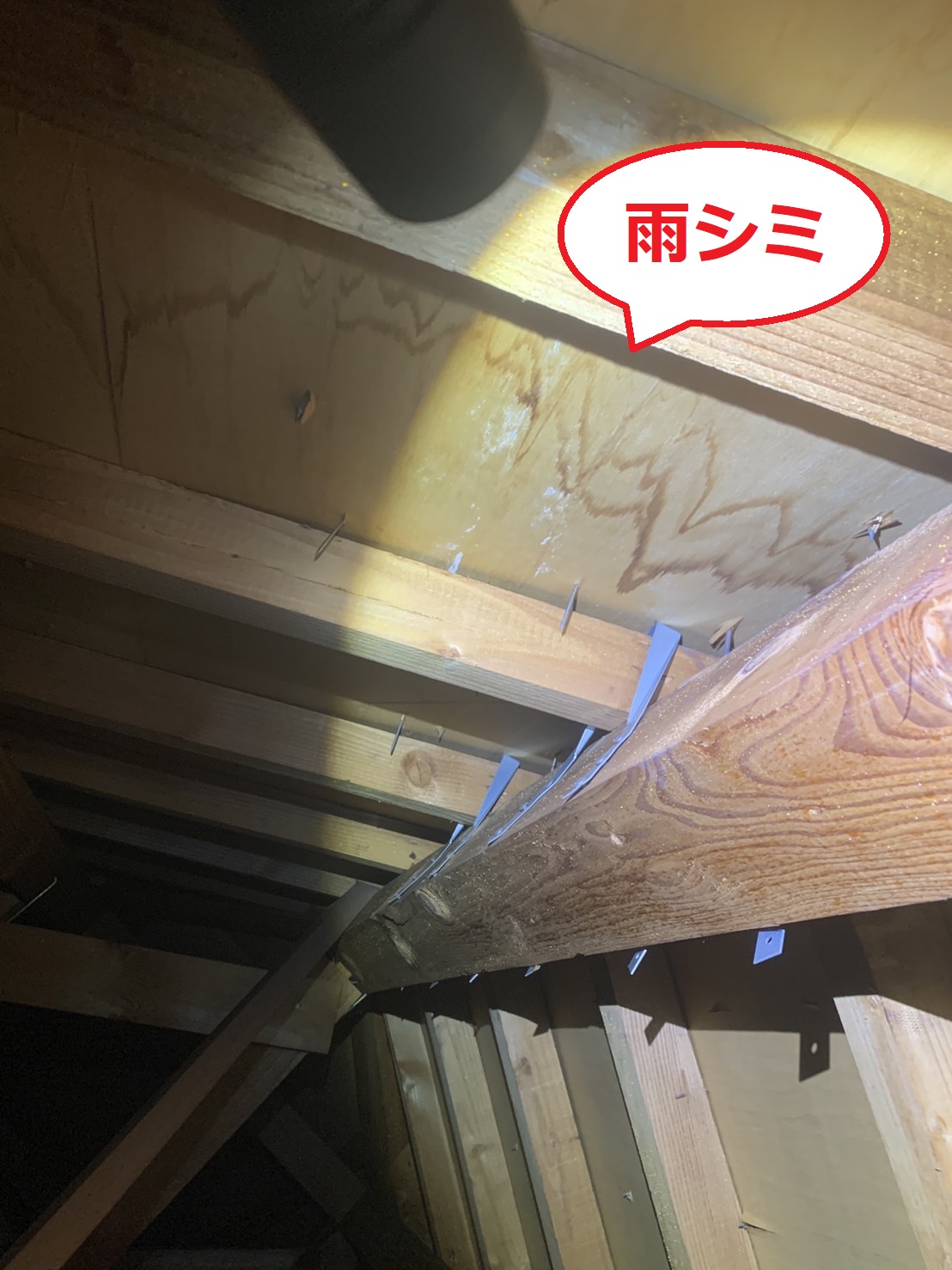 神戸市西区で屋根裏に雨漏りの形跡がある様子