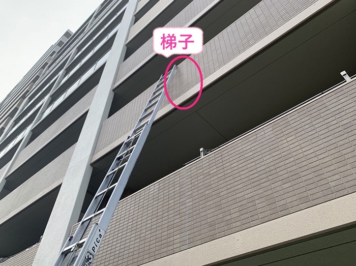 神戸市西区の集合住宅で雨漏りしている所に梯子を掛けている様子