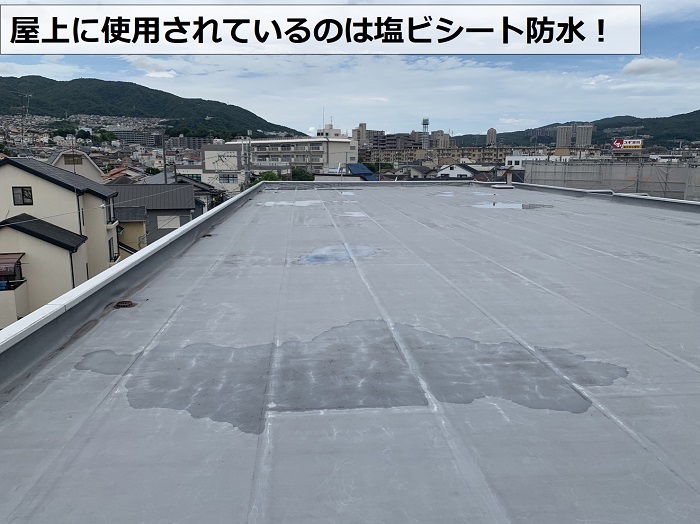 屋上に使用されている塩ビシート防水の様子