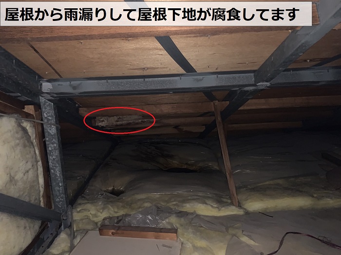 姫路市で屋根カバー工法を行うきっかけとなった雨漏りの様子