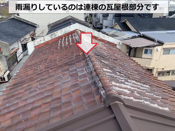 神戸市垂水区で連棟の瓦屋根雨漏り無料調査を行う屋根上の様子