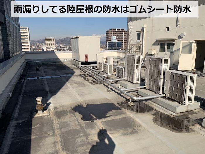 加古川市で雨漏り無料調査・診断を行う陸屋根防水の様子