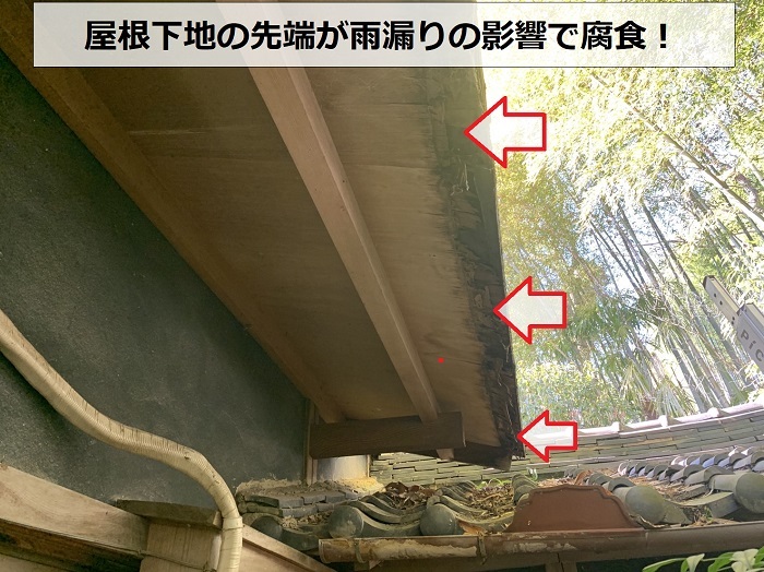 庇屋根の雨漏り無料点検で屋根下地が腐食している様子