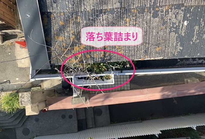 神戸市中央区で2階部分の軒樋に落ち葉が詰まっている様子