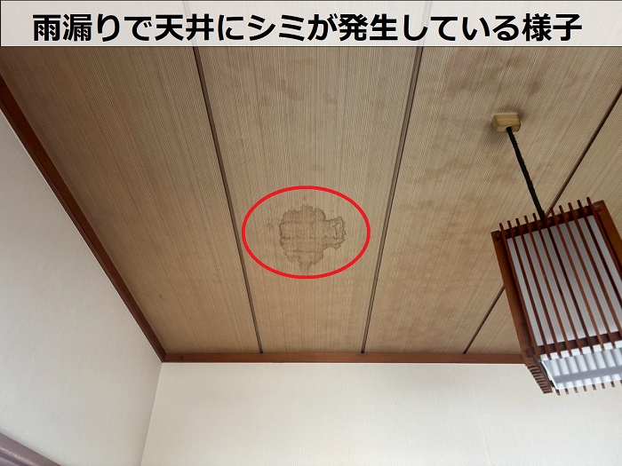 天井のシミ