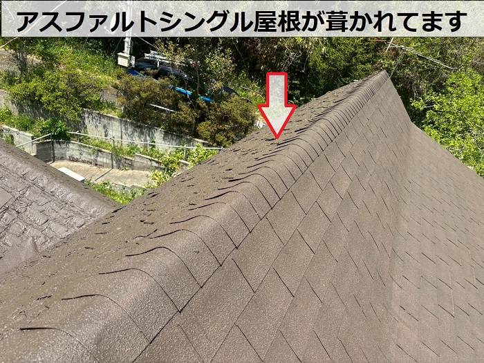 アスファルトシングル屋根