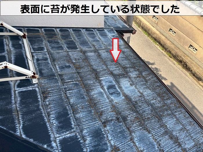 屋根材に発生する苔