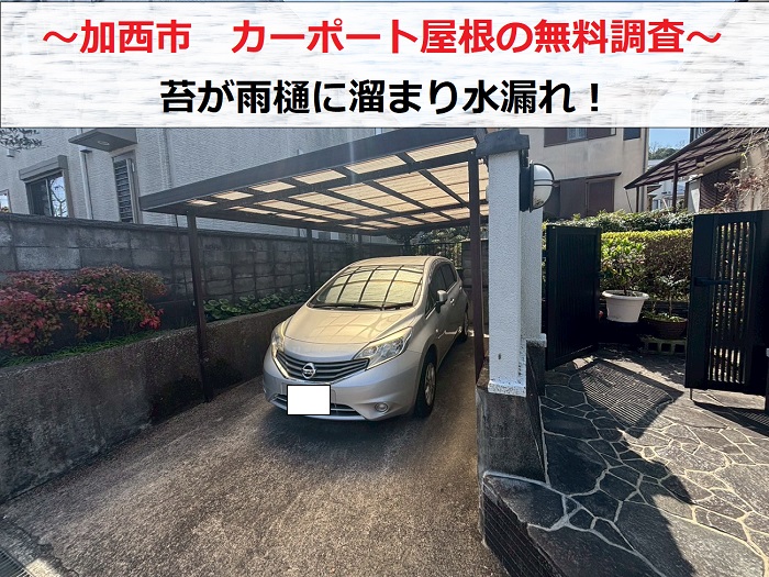 加西市　樋に苔が溜まったカーポート屋根の無料調査！貼り替える価格は？