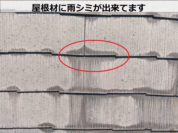 屋根材に発生した雨シミ