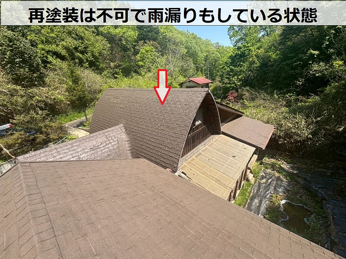 塗装不可な屋根材