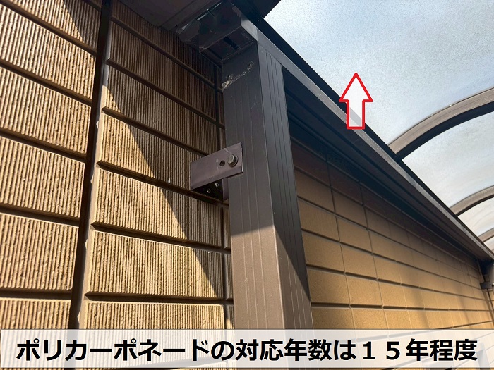 ポリカーポネードの様子