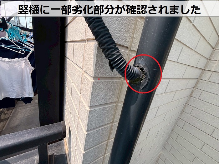 竪樋の様子