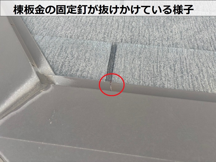棟板金の固定釘が抜けかけている様子