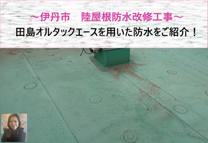 伊丹市 陸屋根防水改修工事で田島オルタックエースを用いて防水【サキブログ】
