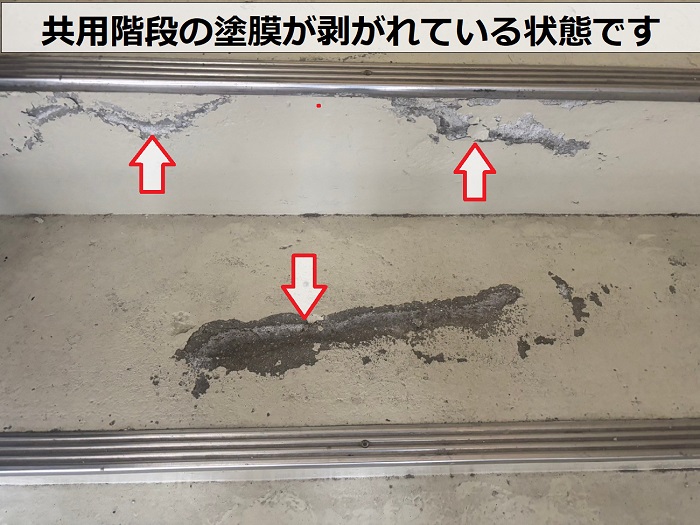 防水層の剥がれ