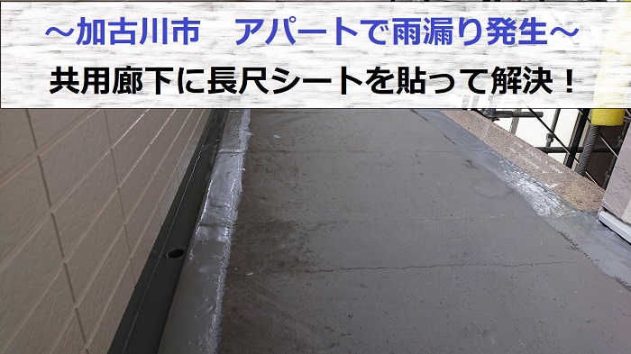 加古川市でアパートの共用廊下へ長尺シートを貼る現場の様子