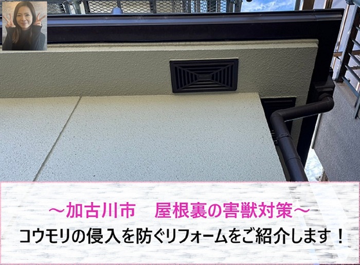 加古川市　屋根裏の害獣対策！コウモリの侵入を防ぐリフォーム【サキブログ】