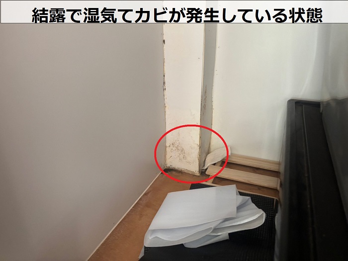 結露でカビが発生している様子